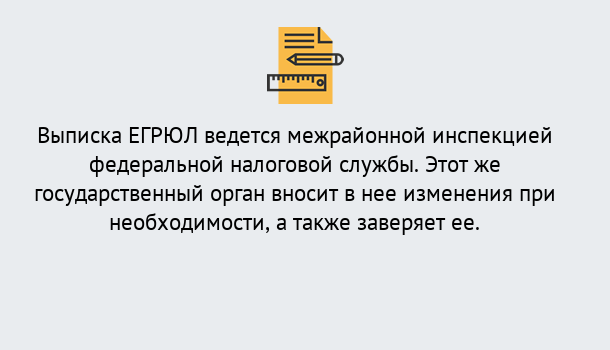 Почему нужно обратиться к нам? Куйбышев Выписка ЕГРЮЛ в Куйбышев ?