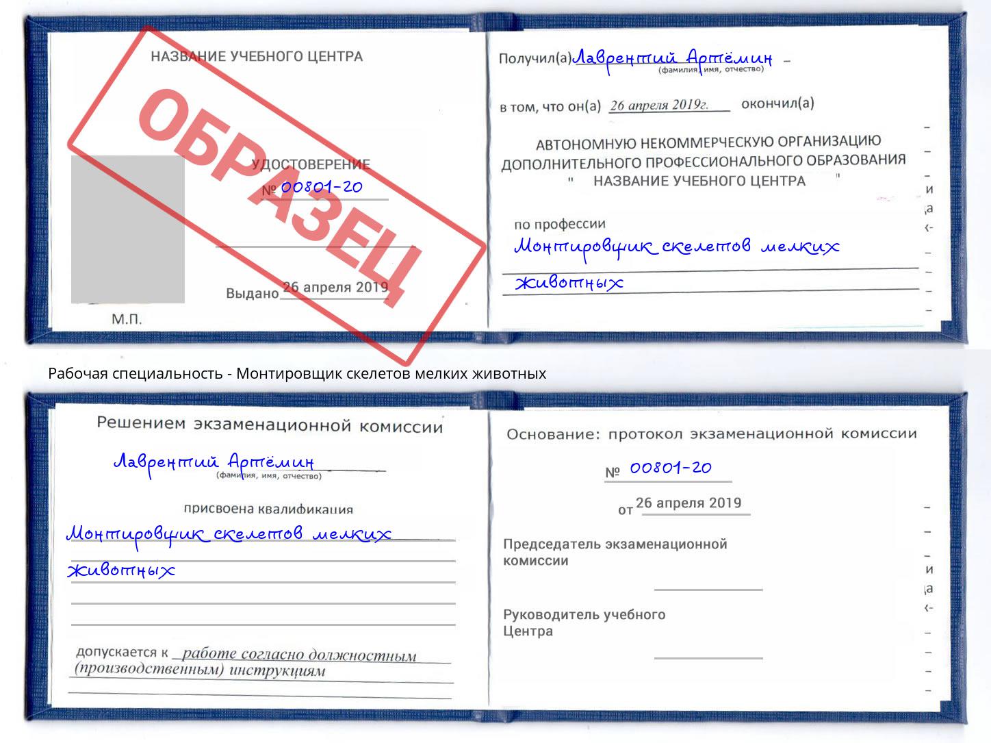 Монтировщик скелетов мелких животных Куйбышев